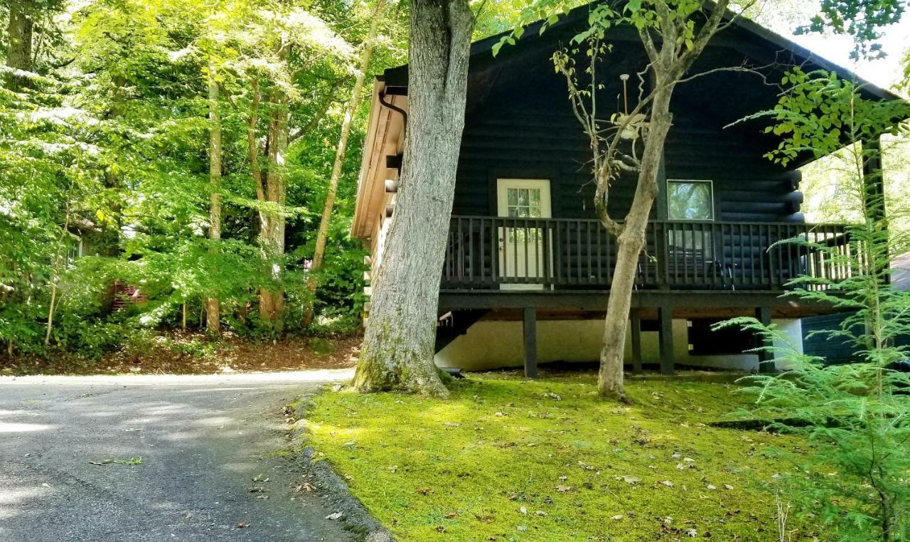 ماجي فالي Tanglewood Motel And Log Cabins المظهر الخارجي الصورة